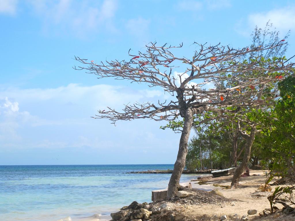 Coral View Beach Resort Ютила Экстерьер фото