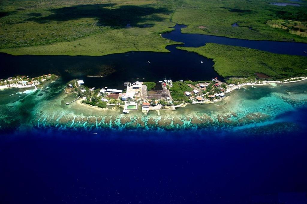 Coral View Beach Resort Ютила Экстерьер фото